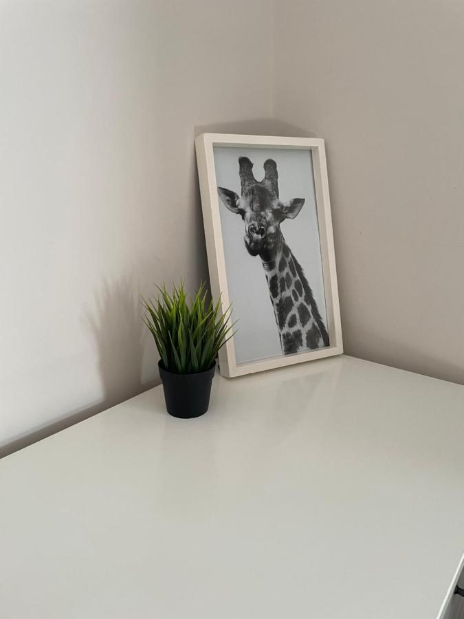 The Corner House - Modern Chesterfield Town Centre Apartments Eksteriør bilde